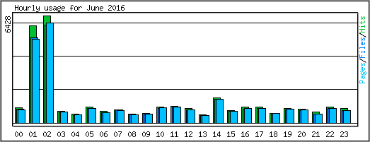 Hourly usage