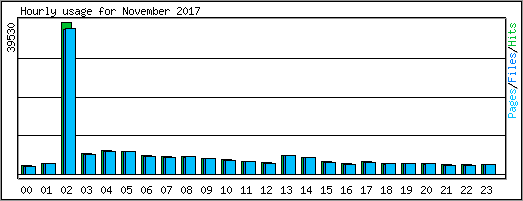 Hourly usage