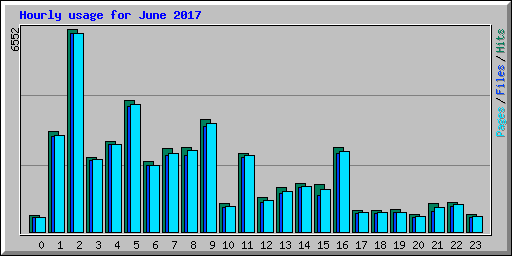 Hourly usage for June 2017
