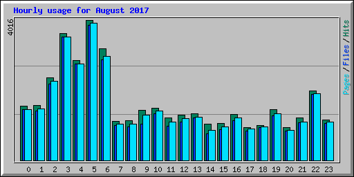 Hourly usage for August 2017