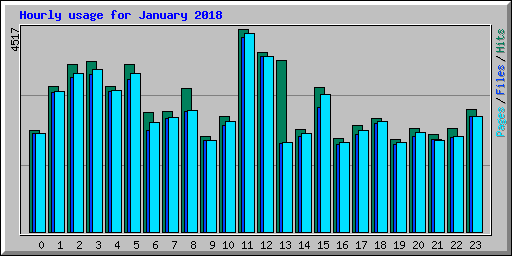 Hourly usage for January 2018